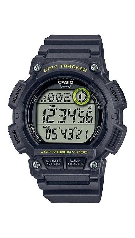 Часы Casio WS-2100H-8A