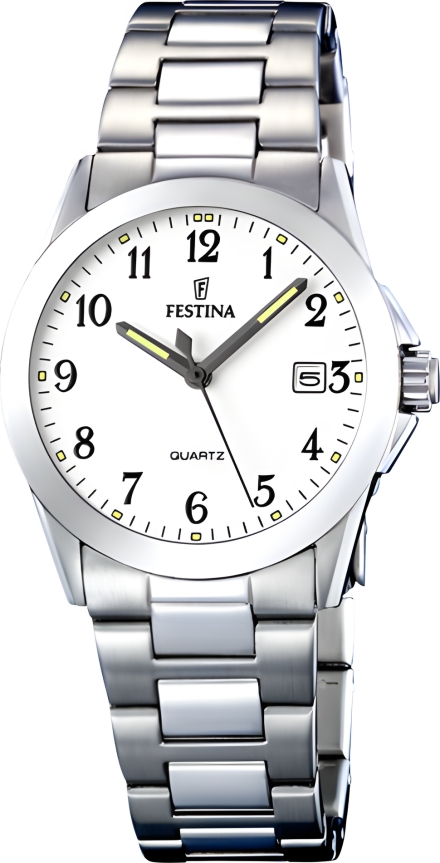 Часы Festina F16377/1