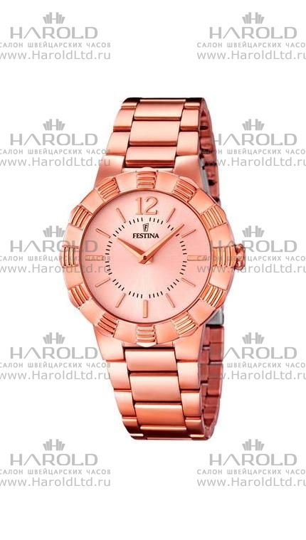 Часы Festina F16733/1