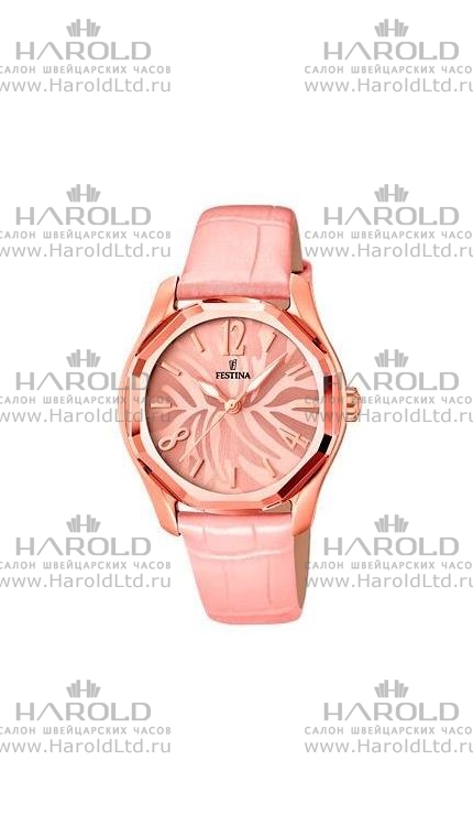 Часы Festina F16739/2