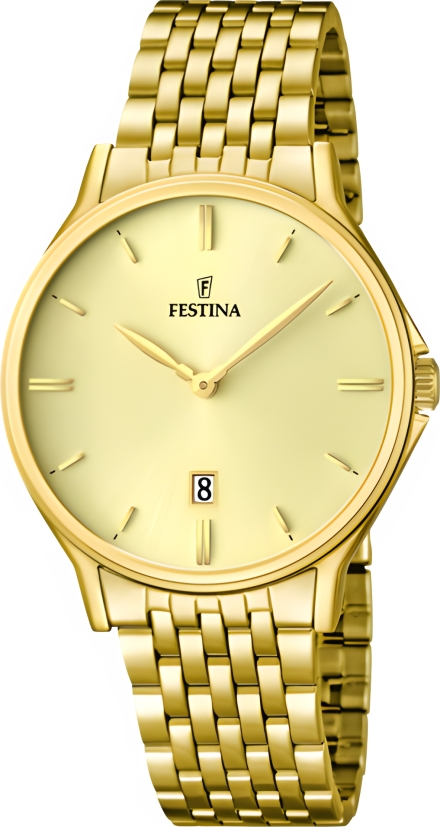Часы Festina F16746/2