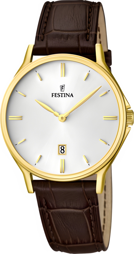 Часы Festina F16747/1