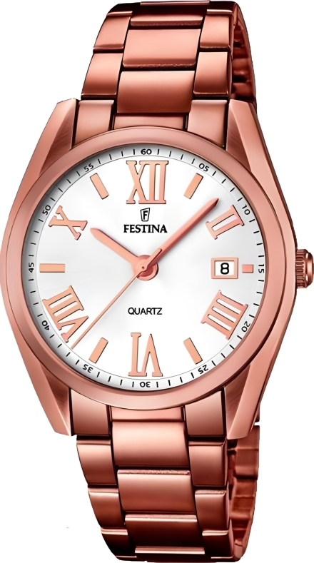 Часы Festina F16791/1