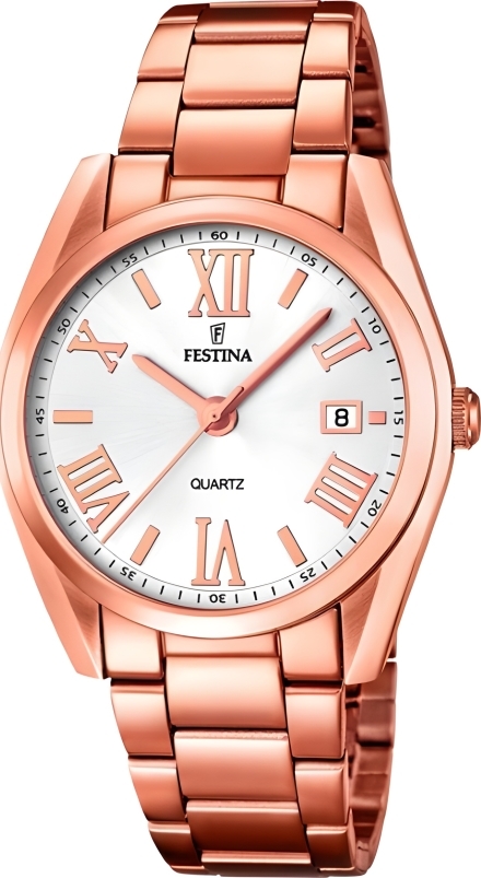 Часы Festina F16793/1