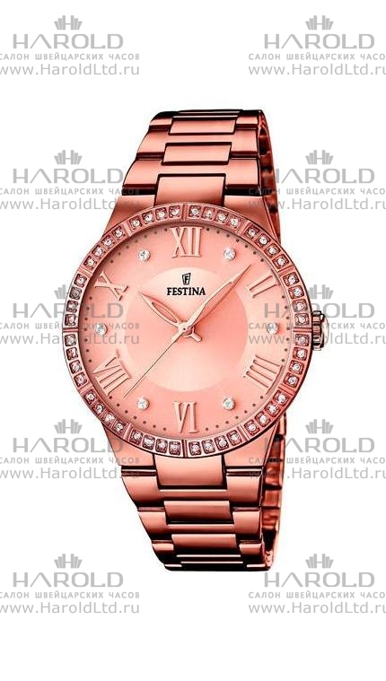 Часы Festina F16801/1