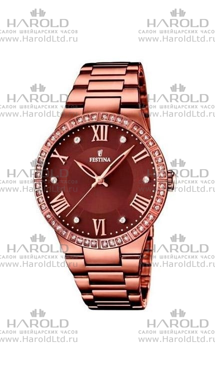 Часы Festina F16801/2