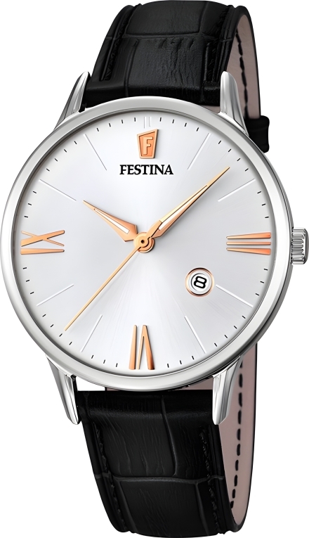 Часы Festina F16824/2