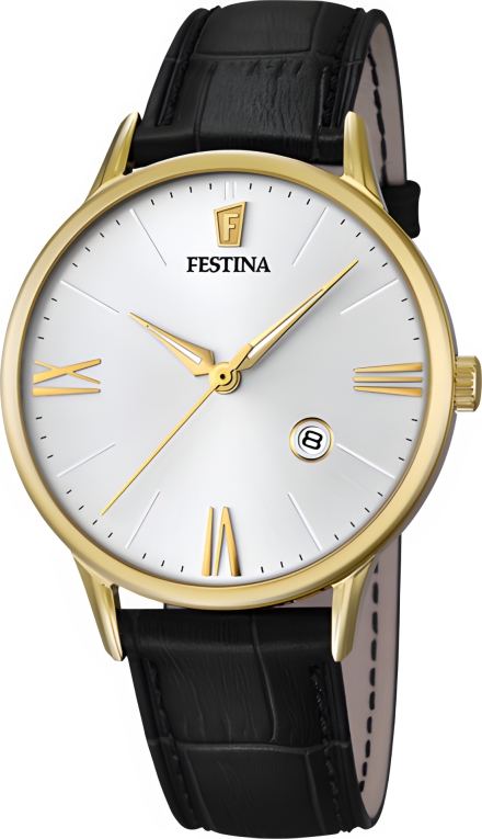 Часы Festina F16825/1