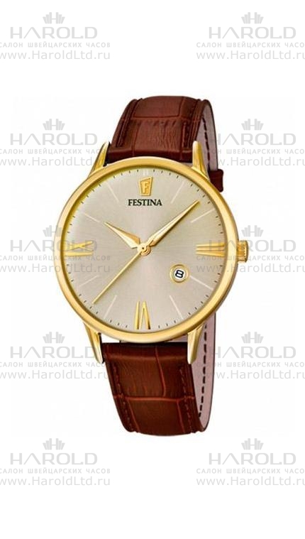Часы Festina F16825/2