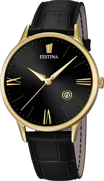 Часы Festina F16825/4