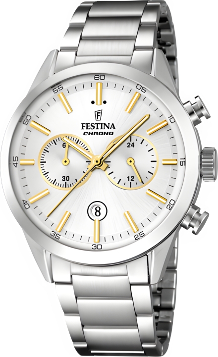 Часы Festina F16826/D