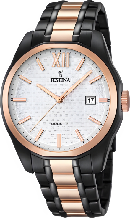 Часы Festina F16853/1