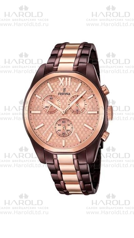 Часы Festina F16858/1