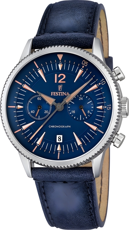 Часы Festina F16870/2