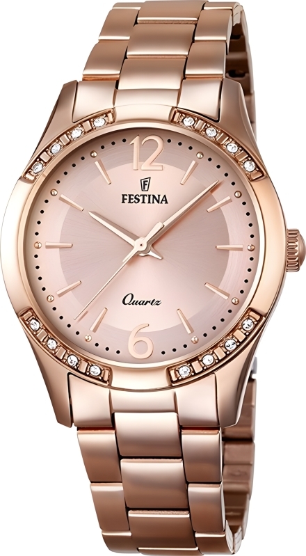 Часы Festina F16914/1