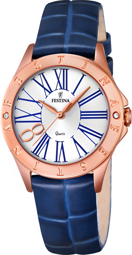 Часы Festina F16930/1