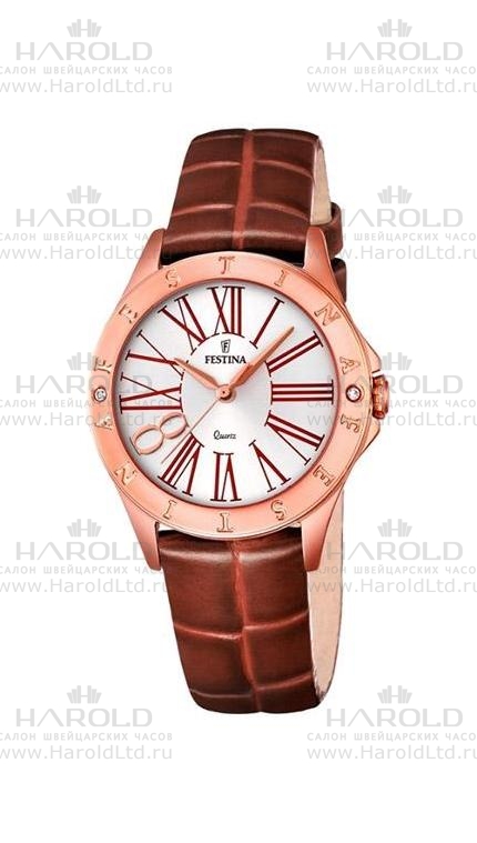 Часы Festina F16930/3