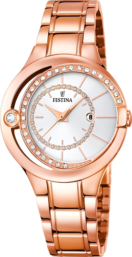 Часы Festina F16949/1