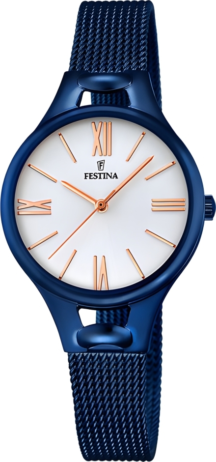 Часы Festina F16953/1