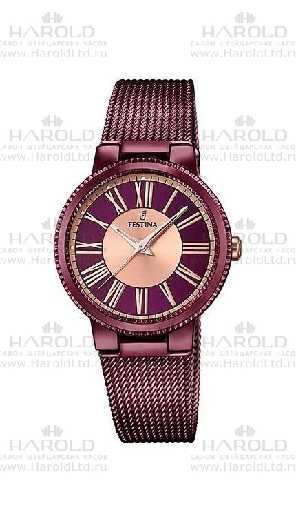 Часы Festina F16966/1