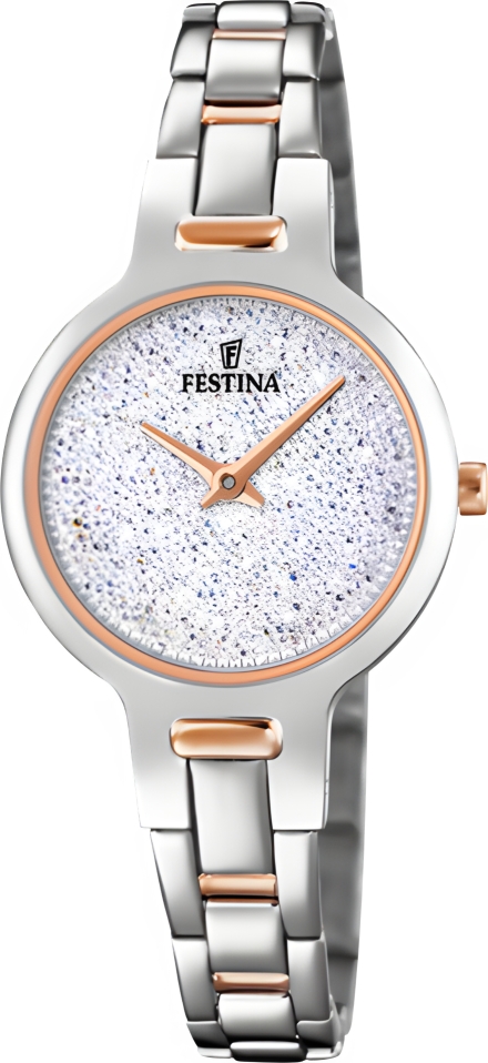 Часы Festina F20381/1