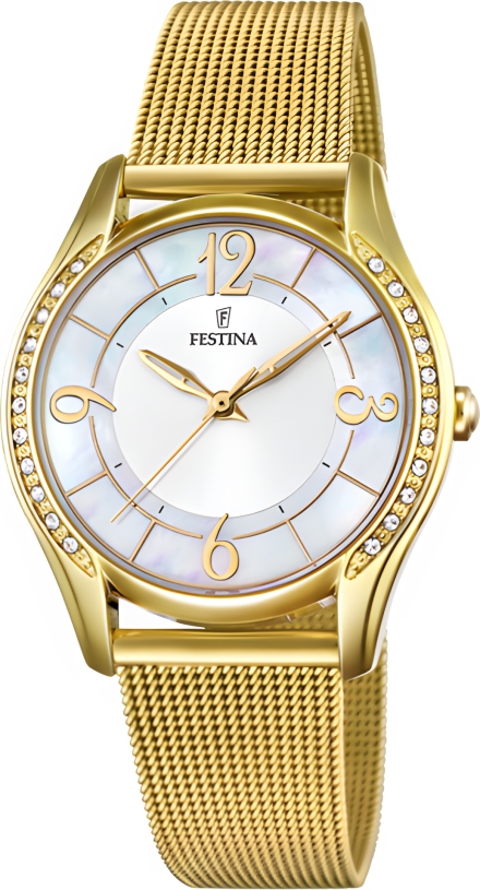 Часы Festina F20421/1