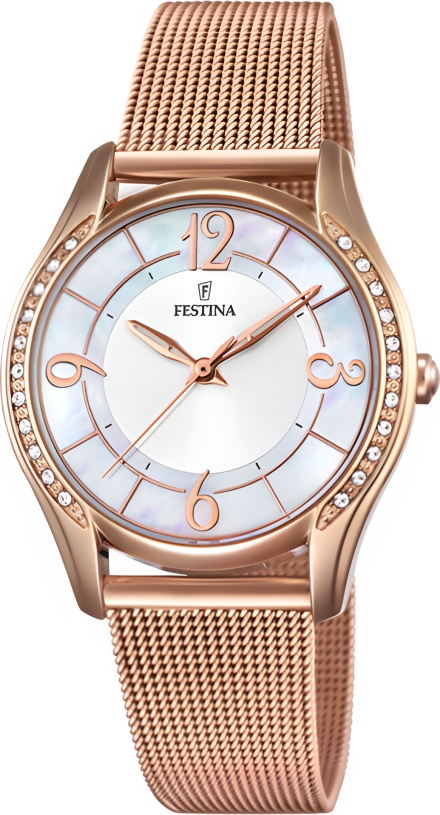 Часы Festina F20422/1