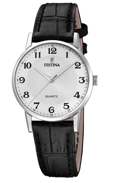 Часы Festina F20691/1